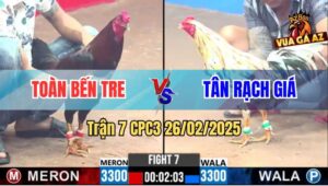 Trận 7 CPC3 26/2/2025 - Que Đâm Không Thấm Bướm Bung Bồ Chạy