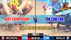 Trận 9 CPC3 16/2/2025 - Đỏ Quá Dày Xanh Găm Mấy Cây Lưng Mà Không Thấm