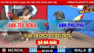Trận 28 CPC2 2/3/2025 - Anh Bảo Sting Hạ Phu Phu Lấy 3 Điểm Dễ Dàng