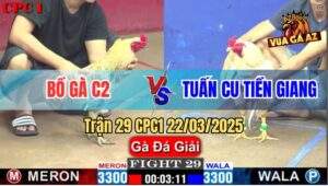 Trận 29 CPC1 22/3/2025 - Bồ Gà C2 Và Anh Tuấn Cu Tiền Giang