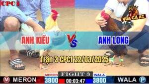 Trận 3 CPC1 22/3/2025 - Anh Long Bị Phản Kèo Ăn 2, Hàng Sáu Té ghế
