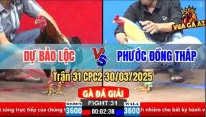 Trận 31 CPC2 30/3/2025 - Anh Phước Đồng Tháp Lấy Đủ 6 Điểm Sau 2 Vòng