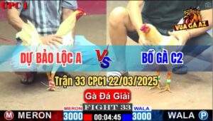 Trận 33 CPC1 22/3/2025 - Anh Dự Bảo Lộc A Gặp Bồ Gà C2