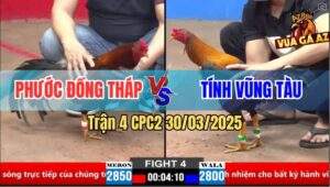 Trận 4 CPC2 30/3/2025 - Điều Chân Xanh Anh Phước Đâm Cựa Như Máy