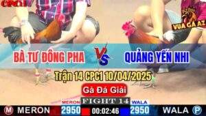 Trận 14 CPC1 10/4/2025 - Bà Tư Đông Pha Và Chị Quảng Yến Nhi