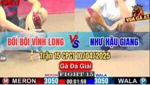 Trận 15 CPC1 10/4/2025 - Bối Bối Vĩnh Long Và Chị Như Hậu Giang
