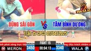 Trận 15 CPC3 1/4/2025 - Úa Cọp Anh Dũng Sài Gòn Đá 2 Chân Lụm Tiền
