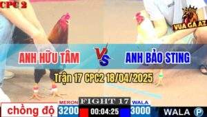 Trận 17 CPC2 18/4/2025 - Gà Anh Hữu Tâm Lên 2 Bất Bai Trước Bảo Sting
