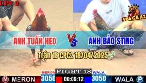 Trận 18 CPC2 18/4/2025 - Xanh Que Anh Bảo Sting Hạ Điều Bông Tốc Độ