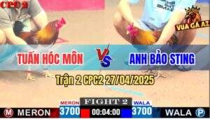 Trận 2 CPC2 27/4/2025 - Khét Anh Bảo Sting Chịu Đòn Lật Kèo Đẳng Cấp