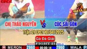 Trận 21 CPC1 10/4/2025 - Chị Thảo Nguyên Và Chị Cúc Sài Gòn