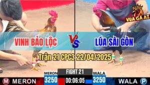 Trận 21 CPC3 22/4/2025 - Anh Lúa Sài Gòn Lụm Cái Xổ 300 Nhẹ Nhàng