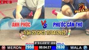 Trận 22 CPC2 11/4/2025 - Anh Phúc Hạ Bướm Hiệu Bảo Sting Chỉ Tay Nước