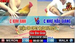 Trận 30 CPC1 10/4/2025 - Chị Kim Anh Và Chị Như Hậu Giang