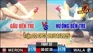 Trận 32 CPC3 9/4/2025 - Gà Úa Anh Hưởng Có Chân Phản Đưa Hàng 6 Ra Đảo