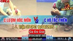 Trận 35 CPC1 10/4/2025 - Chị Lượm Hóc Môn Và Chị Võ Tắc Thiên