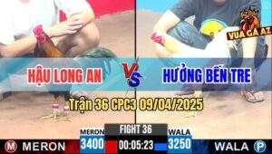 Trận 36 CPC3 9/4/2025 - Anh Hậu Long An Và Anh Hưởng Bến Tre, Xổ 200