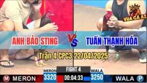 Trận 4 CPC3 22/4/2025 - Gà Cụt Ngón Bảo Sting Nuốt Ói Lật Kèo Đẳng Cấp