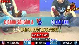 Trận 43 CPC1 10/4/2025 - Chị Oanh sài Gòn A Và Chị Kim Anh