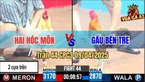 Trận 44 CPC3 9/4/2025 - Gà Anh Gấu Kém 3 Chấm Đá Gà Anh Hai Bay Bồ