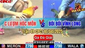 Trận 49 CPC1 10/4/2025 - Chị Lượm Hóc Môn Và Bối Bối Vĩnh Long