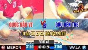 Trận 49 CPC3 9/4/2025 - Que Bến Thế Đá Xám Cọp Anh Gấu Đứng Không Nổi