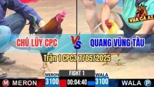 Trận 1 CPC3 7/5/2025 - Quang Vũng Tàu Mở Bát Đá Cánh Campuchia Bỏ Chạy