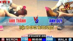 Trận 10 CPC2 16/5/2025 – Anh Thành Vs Anh Duy Bình Dương