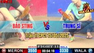 Trận 11 CPC1 15/5/2025 – Anh Bảo Sting Vs Anh Trung Sĩ