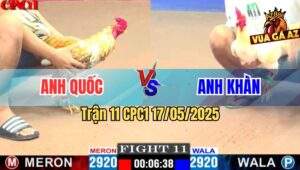 Trận 11 CPC1 17/5/2025 – Anh Quốc Vs Anh Khàn