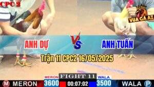 Trận 11 CPC2 16/5/2025 – Anh Dự Vs Anh Tuấn Hóc Môn