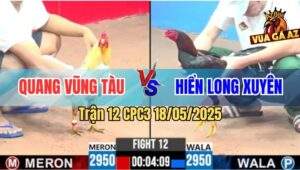 Trận 12 CPC3 18/5/2025 - Bướm Vũng Tàu Đá Điều Cọp Chú Hiển Ói Đen Đầu