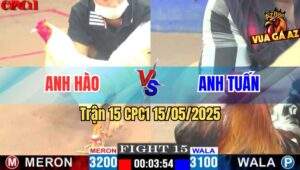 Trận 15 CPC1 15/5/2025 – Anh Hào Vs Anh Tuấn Hóc Môn