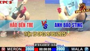 Trận 15 CPC2 9/5/2025 - Bướm Hiệu Anh Bảo Sting Có Chân Cúp Điện