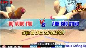 Trận 18 CPC2 23/5/2025 - Úa Hiệu Anh Bảo Sting Lên 2 Đâm Que Lệch Giò