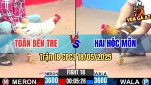 Trận 18 CPC3 18/5/2025 - Anh Toàn Bến Tre Đối Đầu Với Anh Hai Hóc Môn