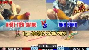 Trận 20 CPC2 23/5/2025 - Gà Khét Anh Đăng Đâm Gà Điều Thở Không Kịp