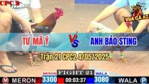 Trận 21 CPC2 4/5/2025 - Bướm Hiệu Bảo Sting Kém 2 Chấm Đá Điều Bung Bồ