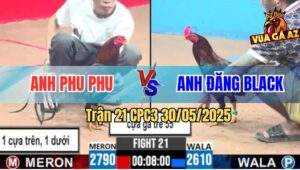 Trận 21 CPC3 30/5/2025 - Kèo Hẹn Giữa Anh Phu Phu Và Anh Đăng Black