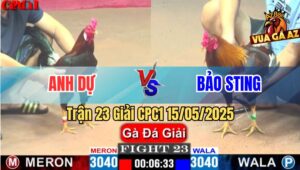 Trận 23 Giải CPC1 15/5/2025 – Anh Dự Vũng Tàu Vs Anh Bảo Sting