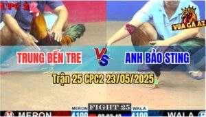 Trận 25 CPC2 23/5/2025 - Anh Trung Bến Tre Và Anh Bảo Sting