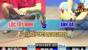 Trận 27 CPC1 26/5/2025 - Gà Chuối Anh Ba Đá Gà Điều Phá Đối Kêu Miệng