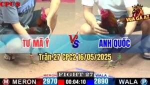Trận 27 CPC2 16/5/2025 – Anh Tư Mã Ý Vs Anh Quốc