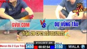 Trận 28 CPC1 22/5/2025 - Gà Điều Gvui.Com Đâm Gà Bướm Anh Dự Tốc Chạy