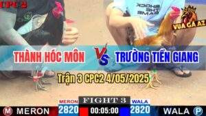 Trận 3 CPC2 4/5/2025 - Khét Cọp Anh Bảo Sting Đá Tăng 1 Gà Ô Giãy Chết