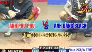 Trận 33 CPC2 23/5/2025 - Anh Phu Phu Và Anh Đăng Black