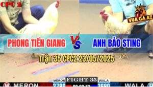 Trận 35 CPC2 23/5/2025 - Úa Anh Phong Hạ Bướm Hiệu Bảo Sting Mau Lẹ