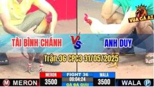 Trận 36 CPC3 31/5/2025 - Tranh Nhì 2, Anh Tài Bình Chánh Và Anh Duy