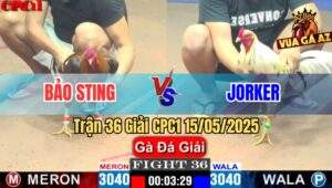 Trận 36 Giải CPC1 15/5/2025 – Anh Bảo Sting Vs Anh Jorker