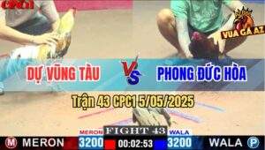 Trận 43 CPC1 5/5/2025 - Anh Dự Vũng Tàu Và Anh Phong Đức Hòa
